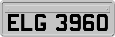 ELG3960