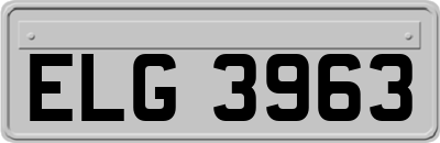 ELG3963