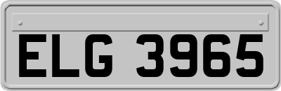 ELG3965