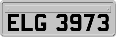 ELG3973