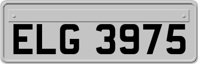 ELG3975