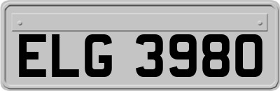 ELG3980