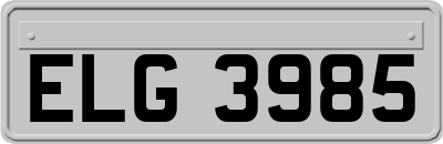 ELG3985