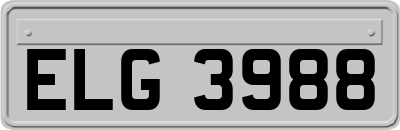 ELG3988