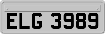ELG3989
