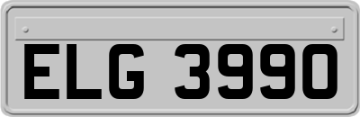ELG3990