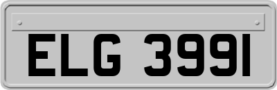 ELG3991