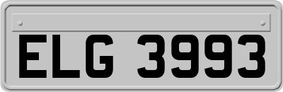 ELG3993