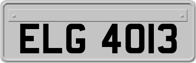 ELG4013