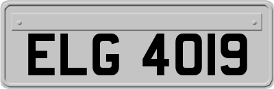 ELG4019