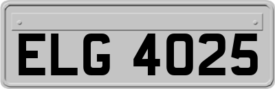 ELG4025
