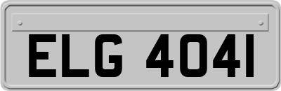 ELG4041