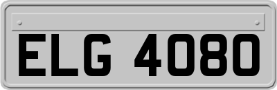 ELG4080