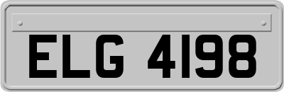 ELG4198