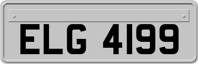 ELG4199