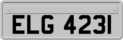 ELG4231
