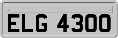 ELG4300
