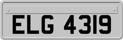 ELG4319