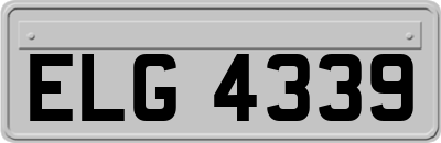 ELG4339