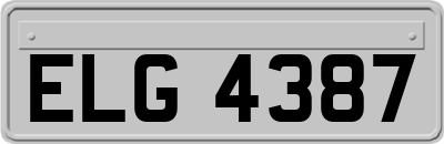 ELG4387