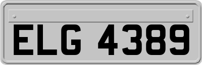 ELG4389