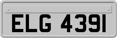ELG4391
