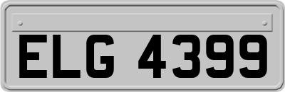 ELG4399