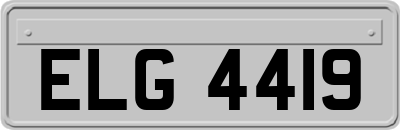 ELG4419