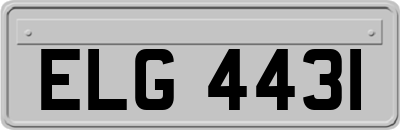 ELG4431