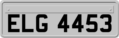 ELG4453