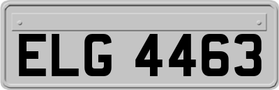 ELG4463