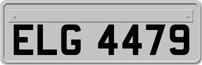 ELG4479