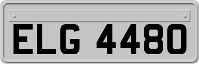 ELG4480