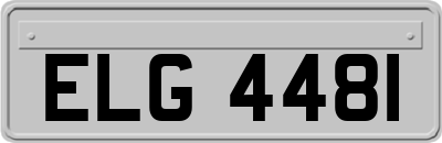 ELG4481