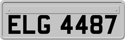 ELG4487