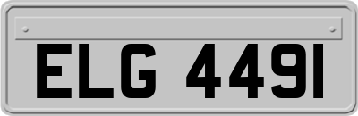 ELG4491