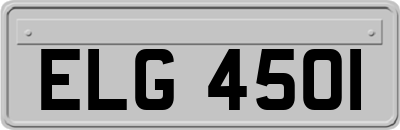ELG4501