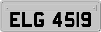 ELG4519