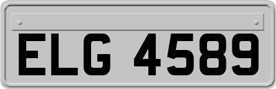 ELG4589
