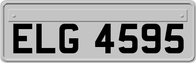 ELG4595