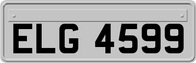 ELG4599