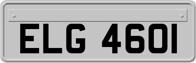 ELG4601