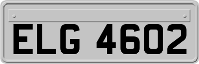 ELG4602