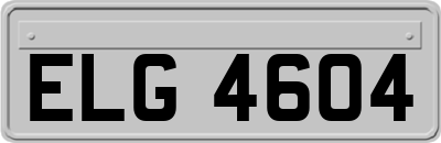 ELG4604