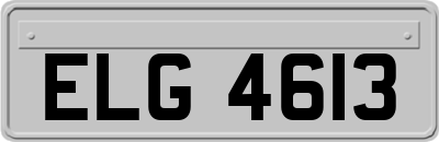 ELG4613