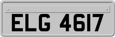 ELG4617