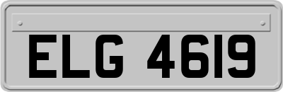 ELG4619