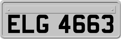ELG4663