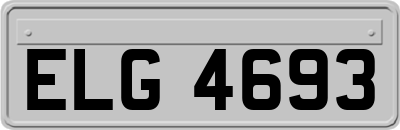 ELG4693