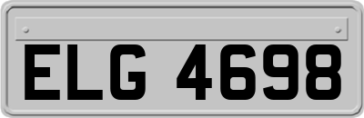 ELG4698